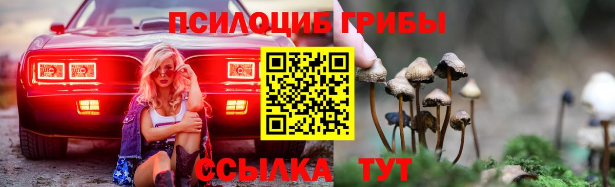Губкинский  Псилоцибиновые грибы Psilocybe  Галлюциногенные грибы Psilocybe  Вход с VPN 